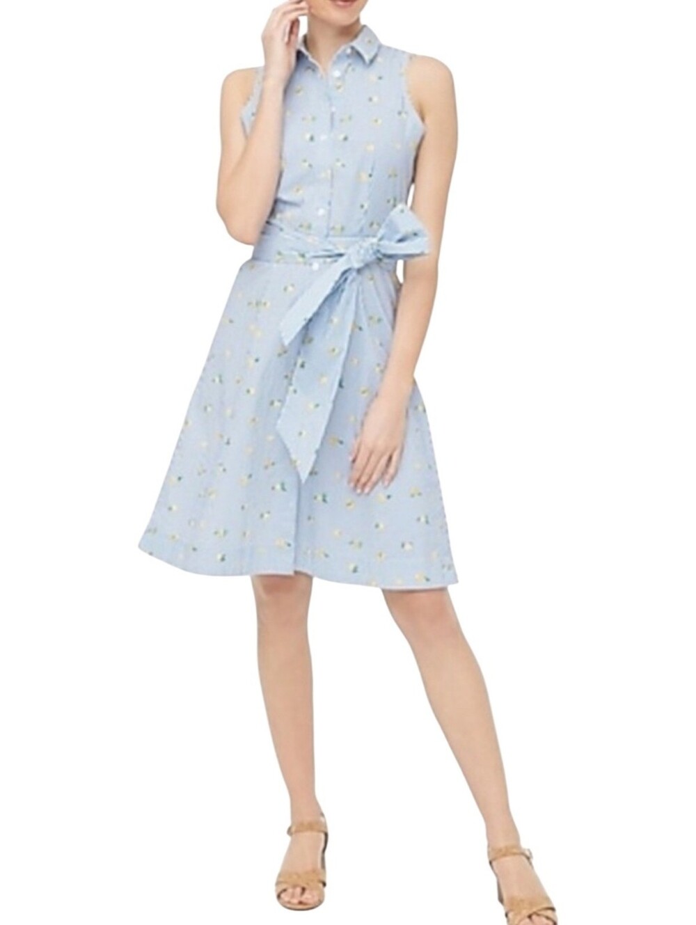 J. Crew‎ Blue & White Stripe Lemon Print Shirtdress Size 2